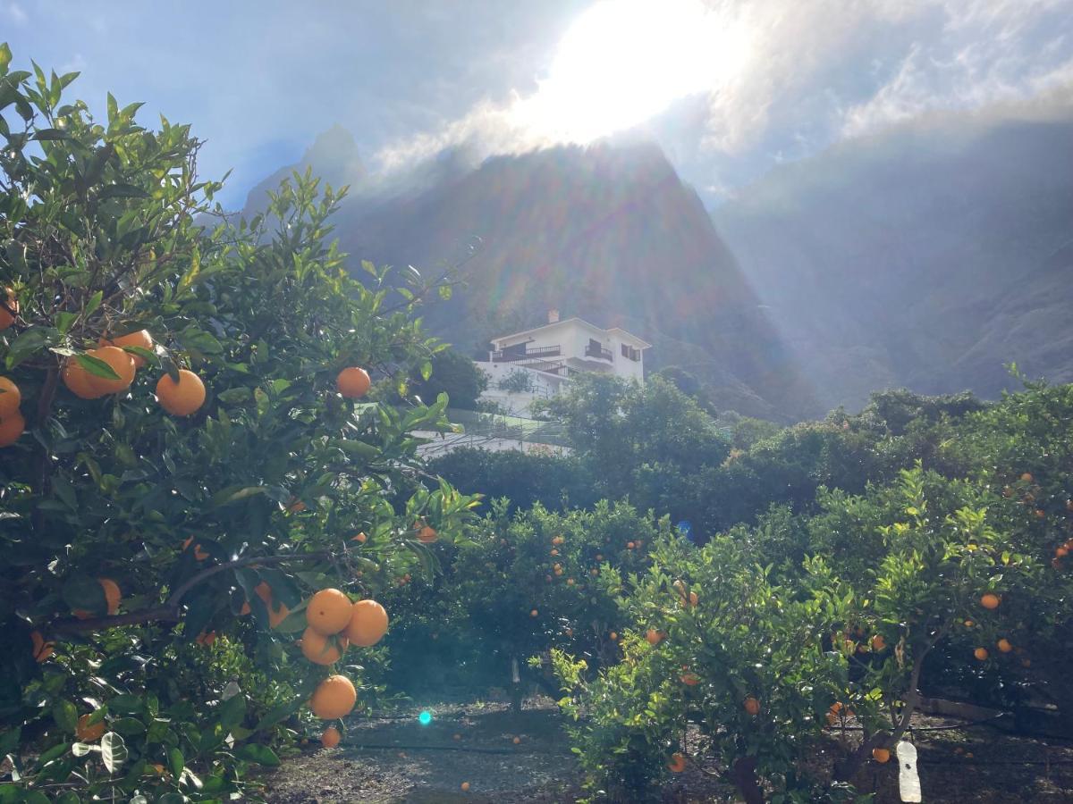 Appartamento Casa Camino Tamadaba II Agaete  Esterno foto
