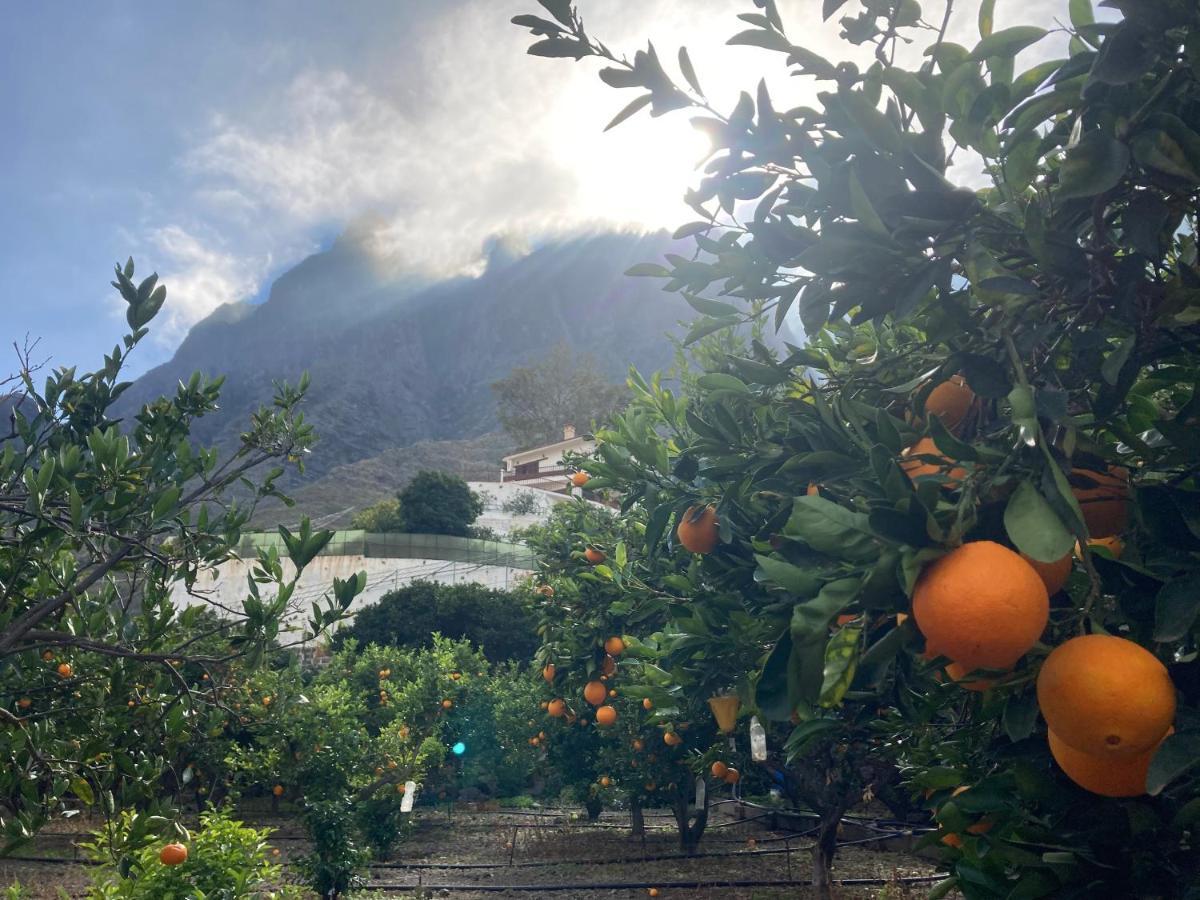 Appartamento Casa Camino Tamadaba II Agaete  Esterno foto