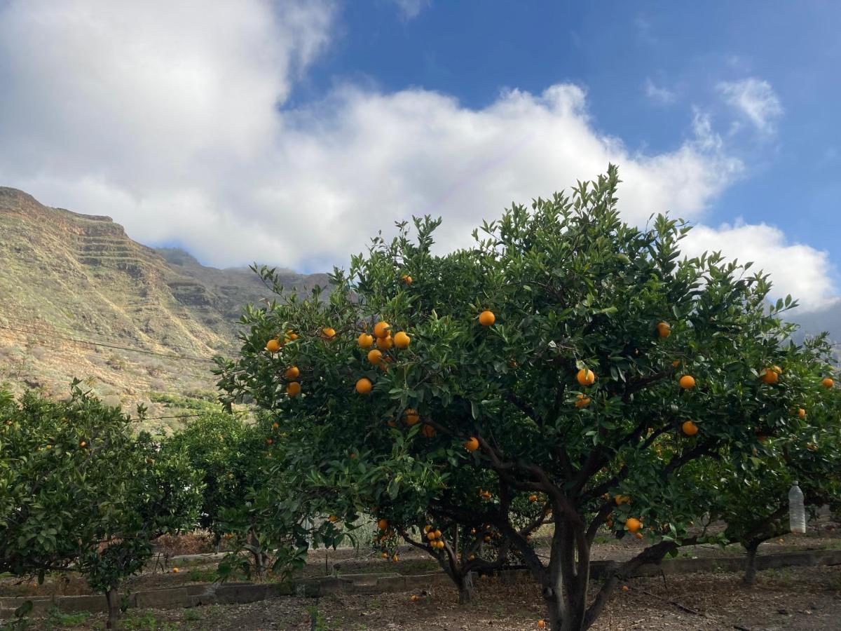 Appartamento Casa Camino Tamadaba II Agaete  Esterno foto