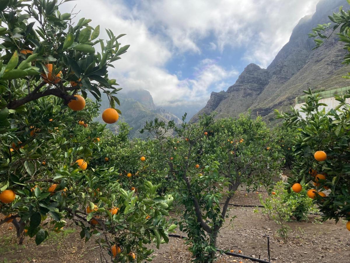 Appartamento Casa Camino Tamadaba II Agaete  Esterno foto