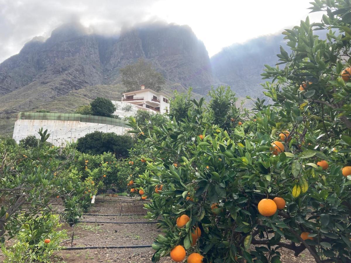 Appartamento Casa Camino Tamadaba II Agaete  Esterno foto