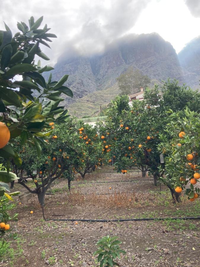 Appartamento Casa Camino Tamadaba II Agaete  Esterno foto