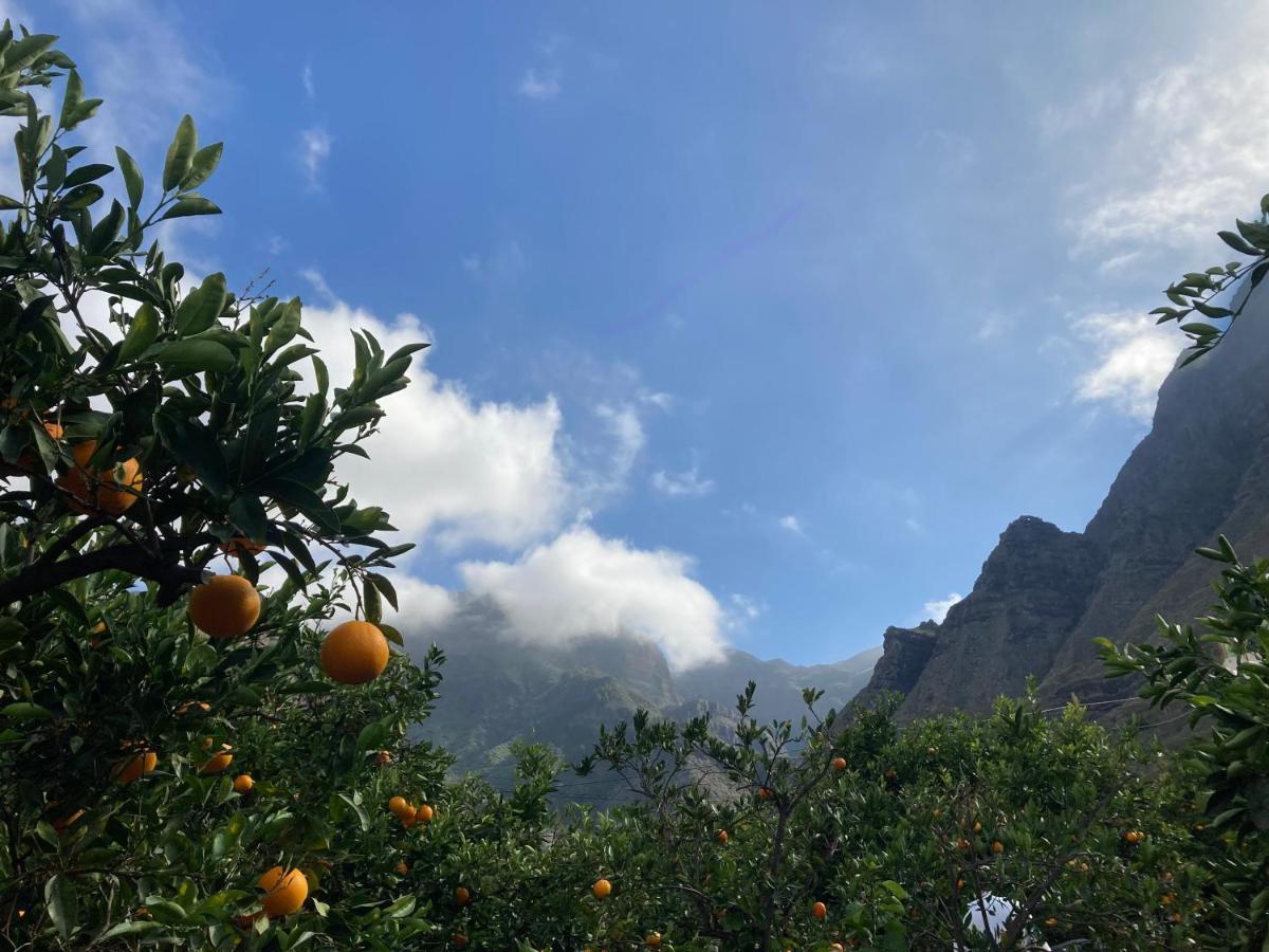 Appartamento Casa Camino Tamadaba II Agaete  Esterno foto
