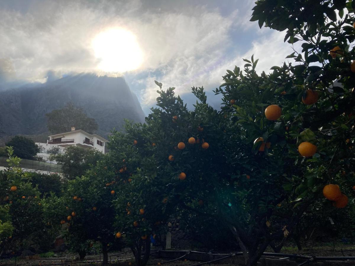 Appartamento Casa Camino Tamadaba II Agaete  Esterno foto