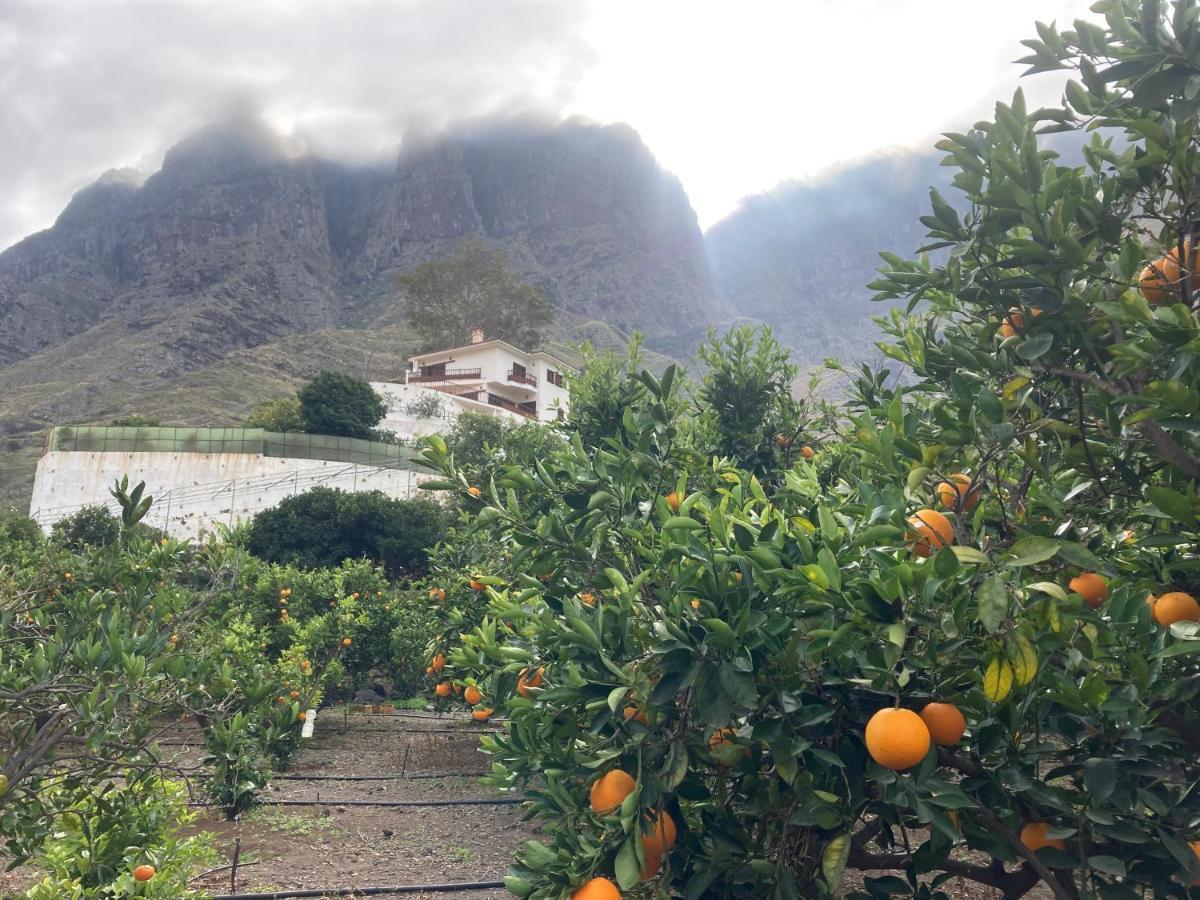 Appartamento Casa Camino Tamadaba II Agaete  Esterno foto