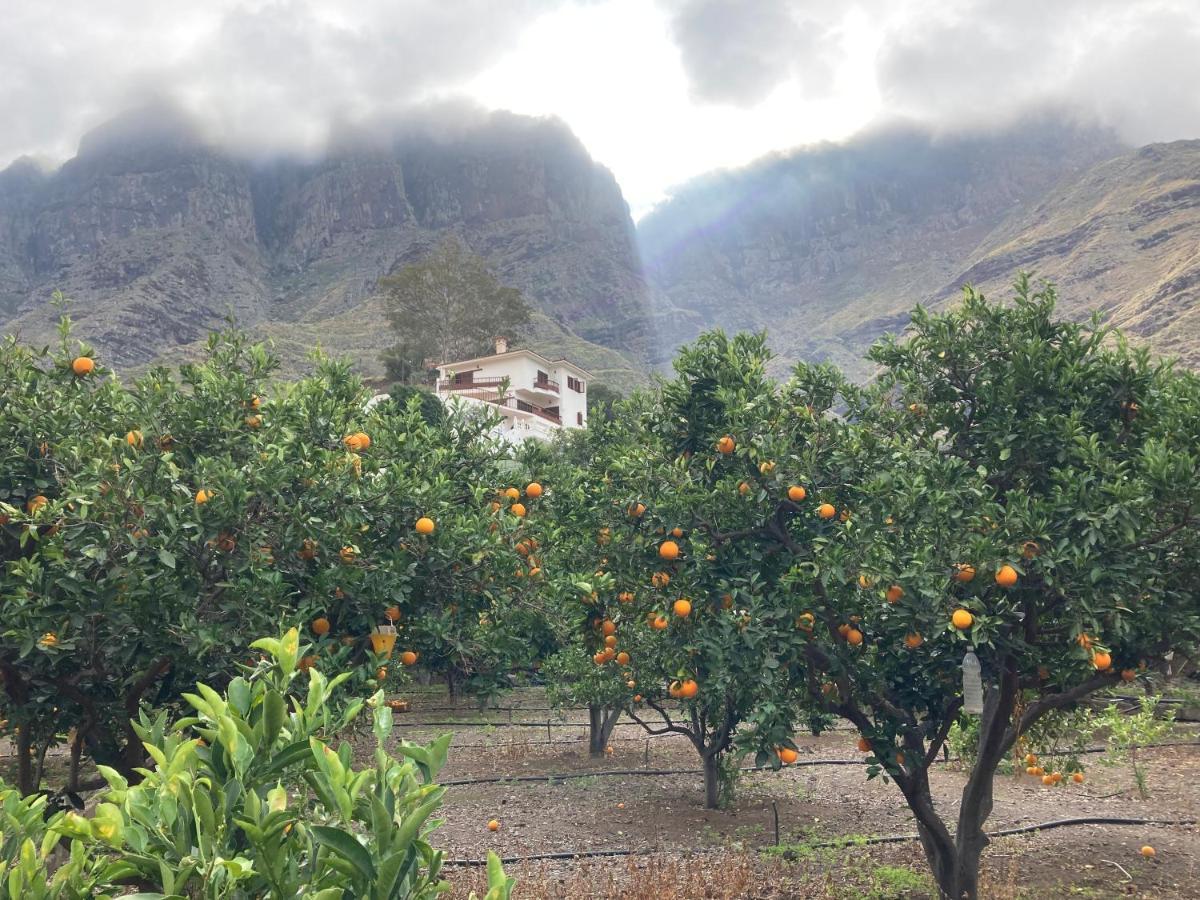 Appartamento Casa Camino Tamadaba II Agaete  Esterno foto