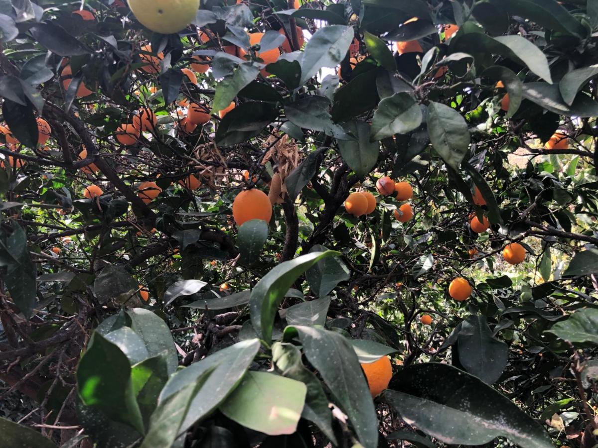 Appartamento Casa Camino Tamadaba II Agaete  Esterno foto