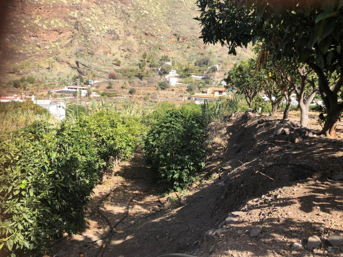 Appartamento Casa Camino Tamadaba II Agaete  Esterno foto