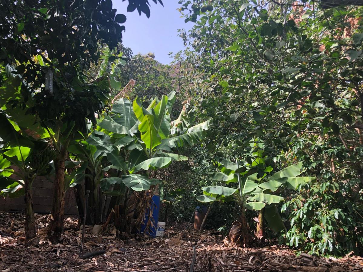 Appartamento Casa Camino Tamadaba II Agaete  Esterno foto