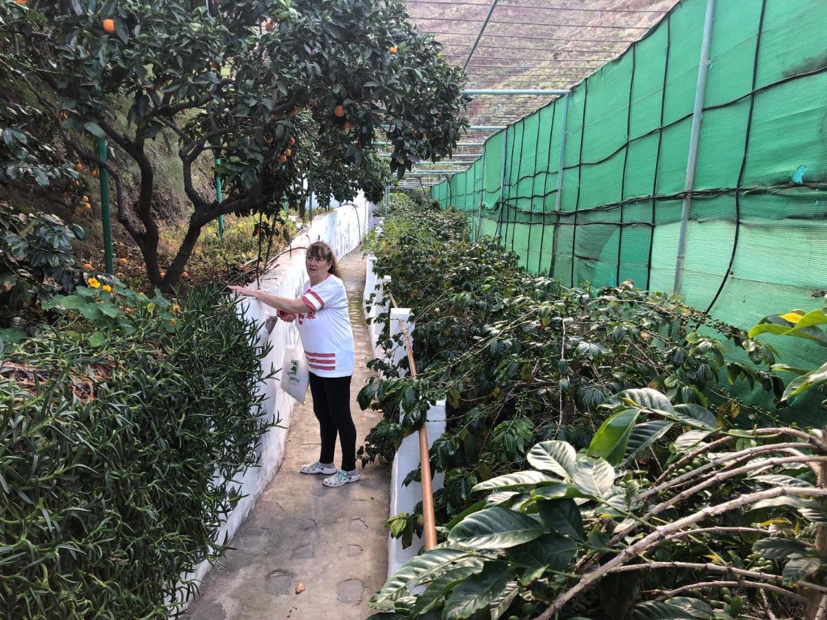 Appartamento Casa Camino Tamadaba II Agaete  Esterno foto