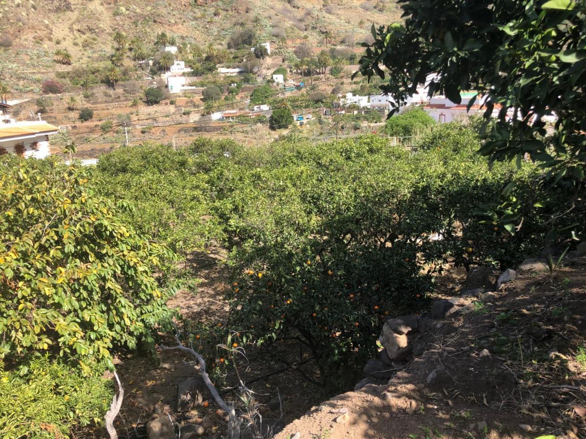 Appartamento Casa Camino Tamadaba II Agaete  Esterno foto