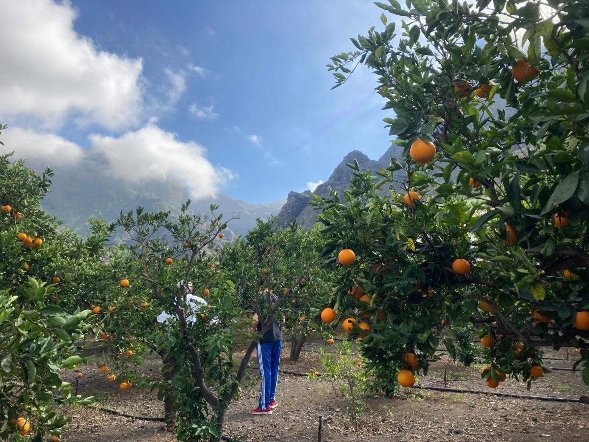 Appartamento Casa Camino Tamadaba II Agaete  Esterno foto