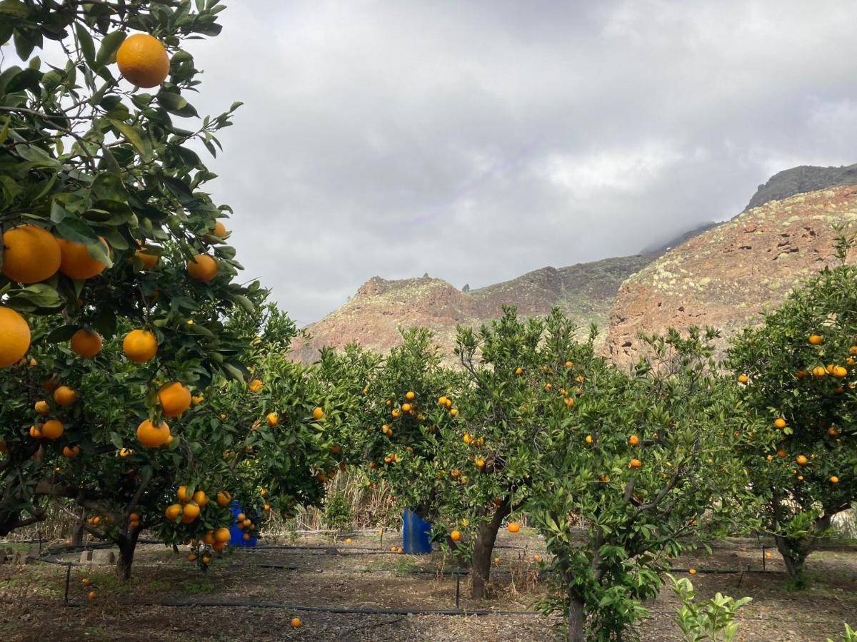 Appartamento Casa Camino Tamadaba II Agaete  Esterno foto