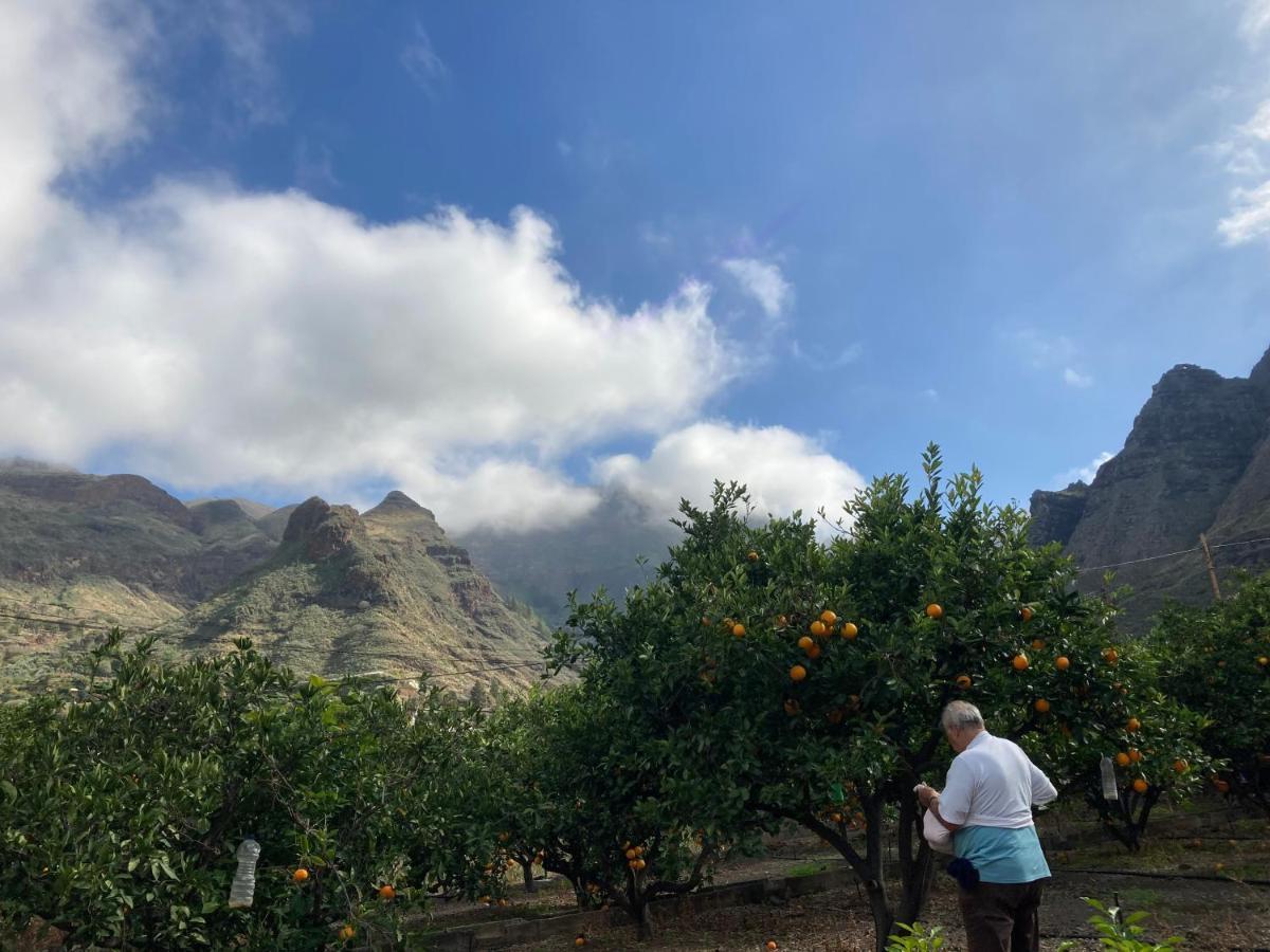 Appartamento Casa Camino Tamadaba II Agaete  Esterno foto