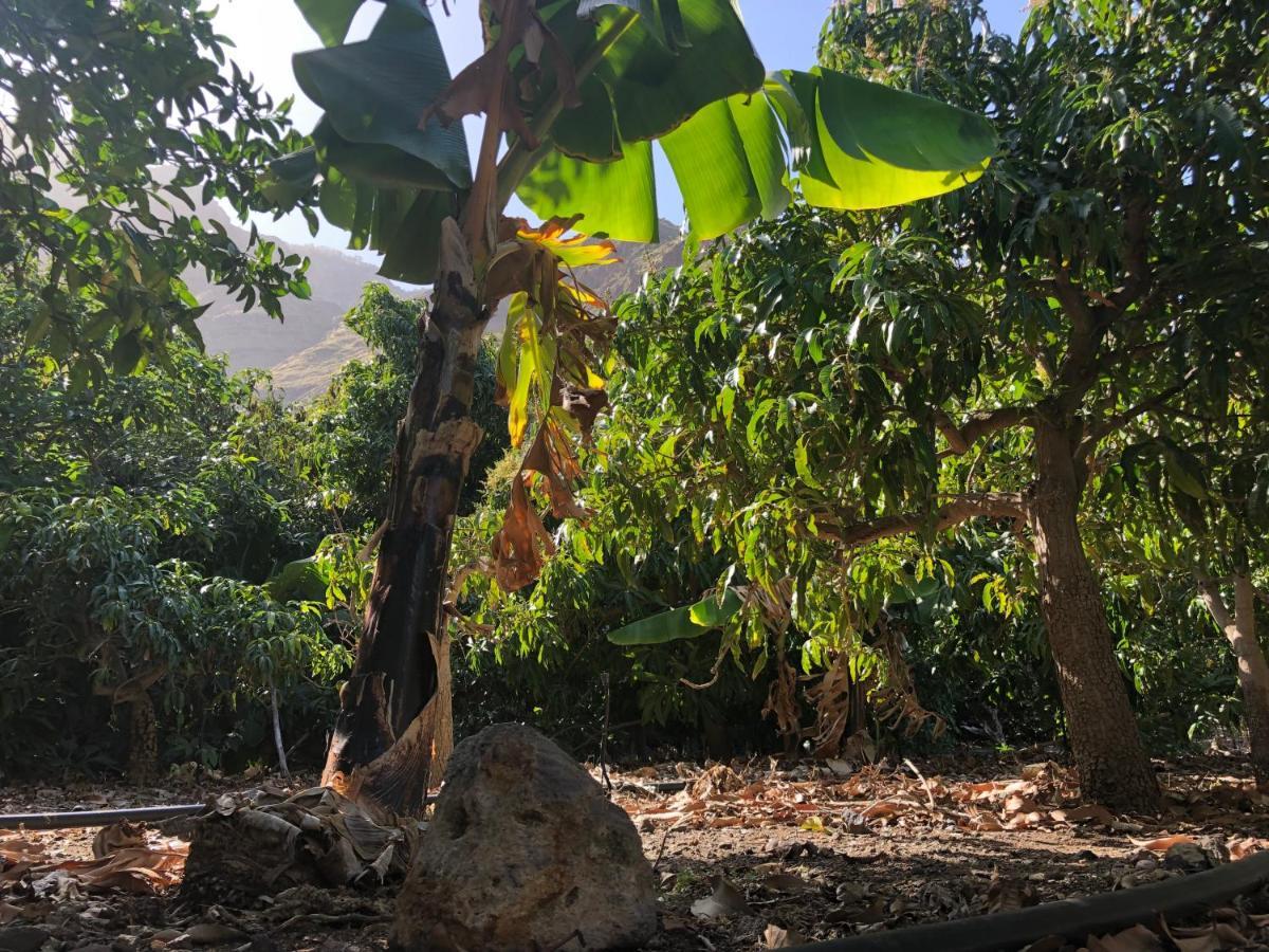 Appartamento Casa Camino Tamadaba II Agaete  Esterno foto
