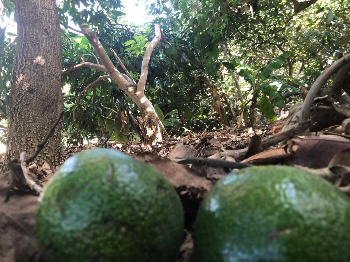 Appartamento Casa Camino Tamadaba II Agaete  Esterno foto